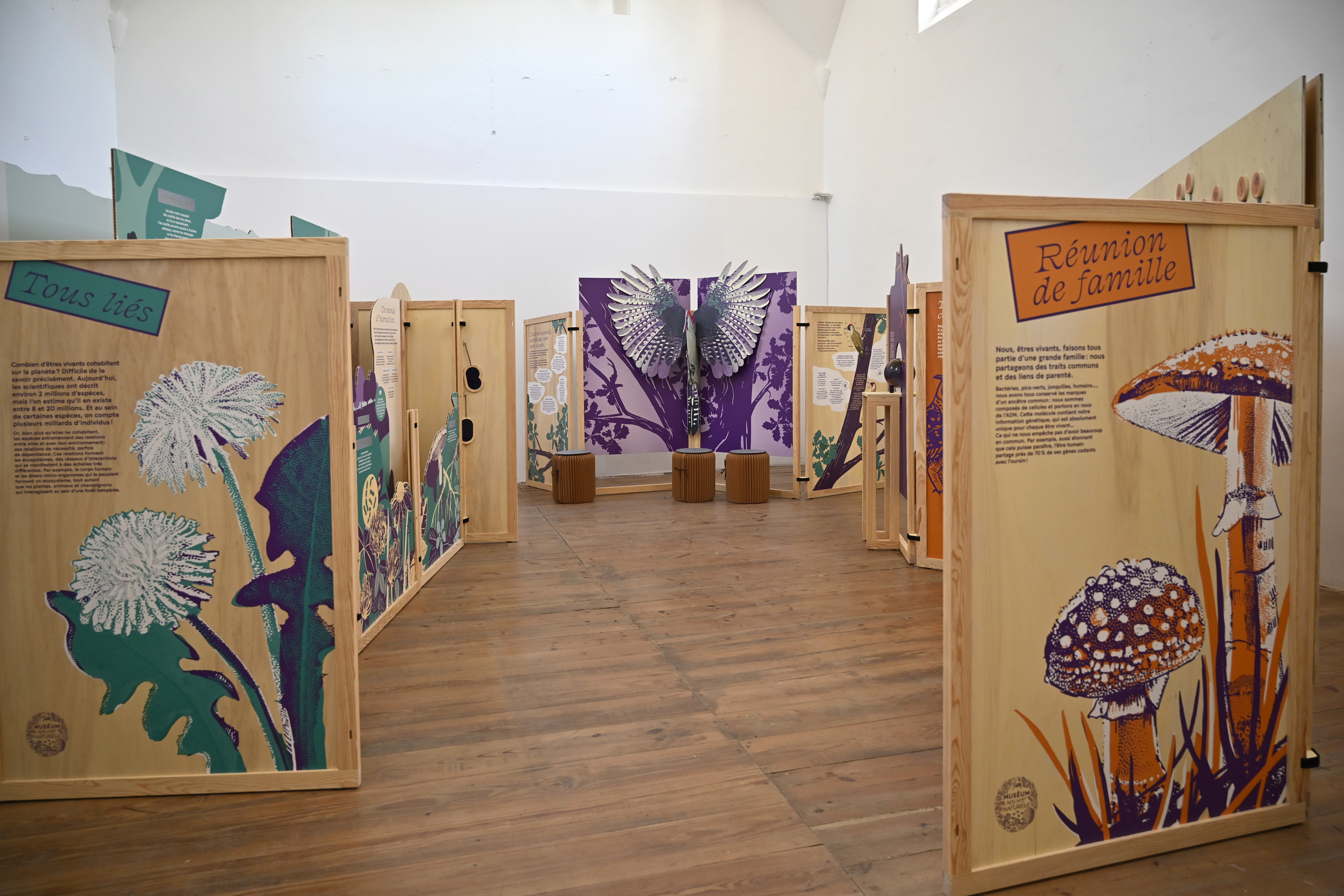 Atelier Marseille - Expo Popo up